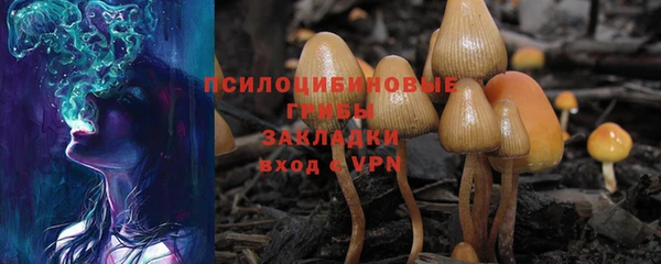 бутират Алзамай